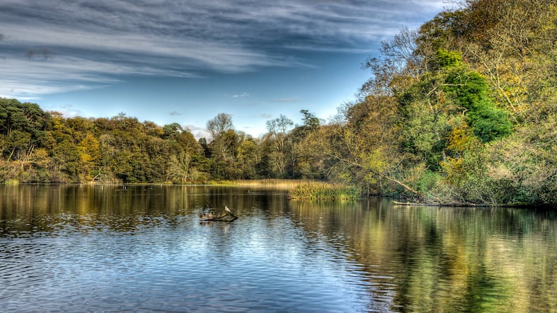 0512_lake generic